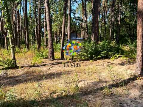 участок по адресу Лесной пер.