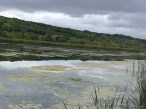 будинок за адресою Центральна, 101