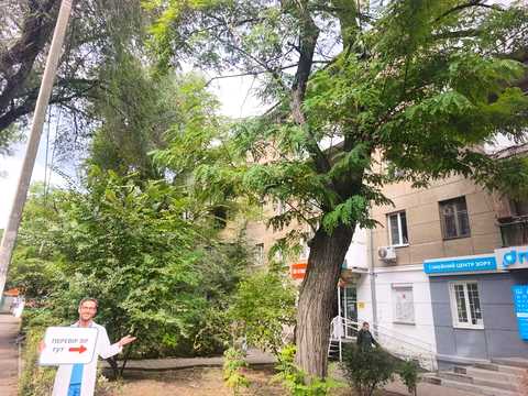 квартира за адресою Фонтанська дорога вул., 45