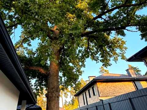 будинок за адресою Ярослава Мудрого вул.