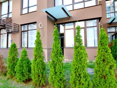 комерційна за адресою Олександра Олеся вул., 2-Б