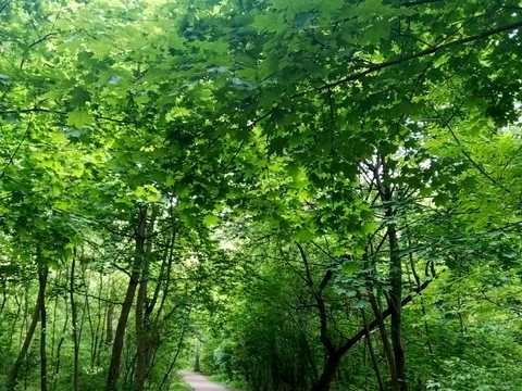 квартира по адресу Святошинский пер., 2