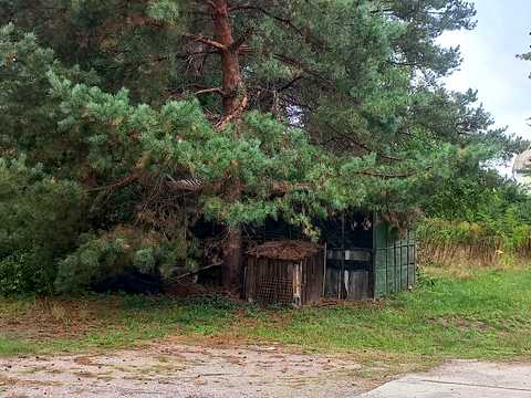 участок по адресу Миколаївська