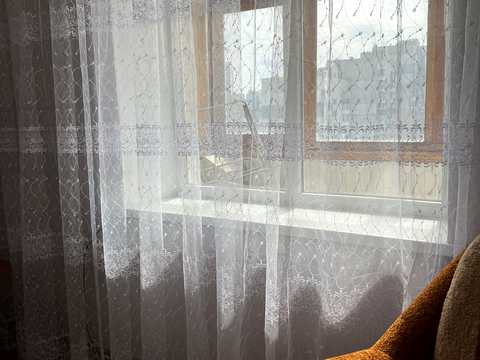 квартира по адресу Островская ул., 2