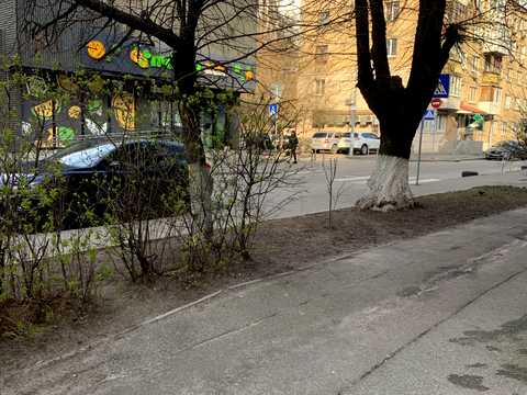 квартира за адресою Сім'ї Ідзиковських вул. (Михайла Мишина), 11/13