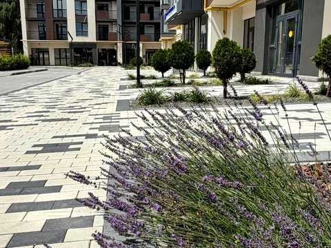 квартира за адресою Панаса Мирного вул., (Будинок)