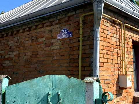 будинок за адресою Лісова вул., 24