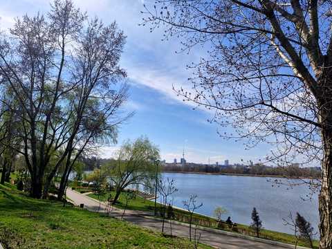 квартира за адресою Оболонський просп., 1к2
