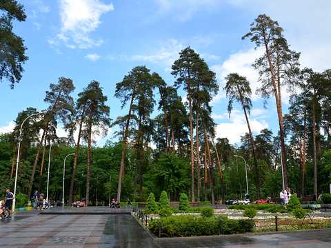 квартира за адресою Київ, Геннадія Афанасьєва вул. (Костянтина Заслонова), 13-Б