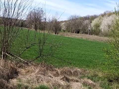 участок по адресу 