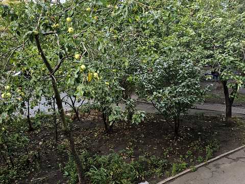 квартира за адресою Загорівська вул. (Багговутівська), 8/10