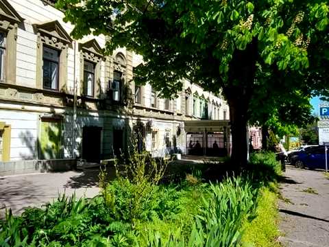 комерційна за адресою Ніни Строкатої вул. (Буніна), 13