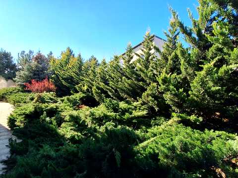 дом по адресу Яблочная ул.