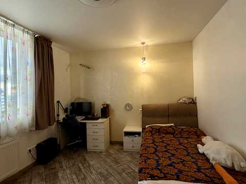 квартира за адресою Олени Пчілки вул., 8