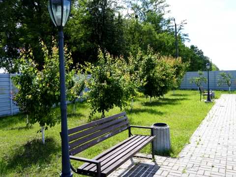квартира по адресу Лісова, 1
