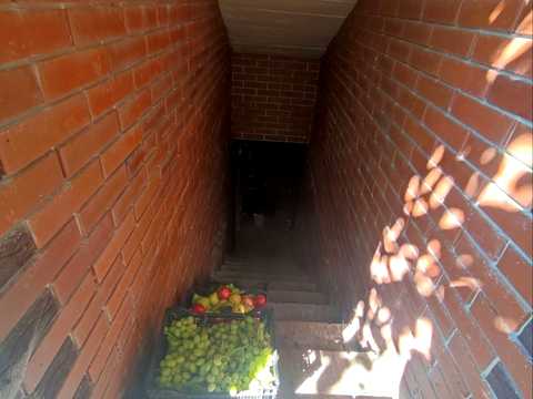 дом по адресу пгт. Степановка, вул. Спасьонова, 11