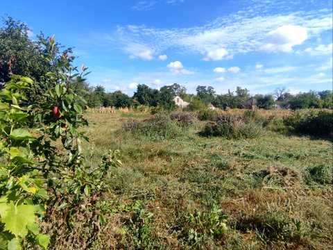 дом по адресу пгт. Степановка, вул. Спасьонова, 11
