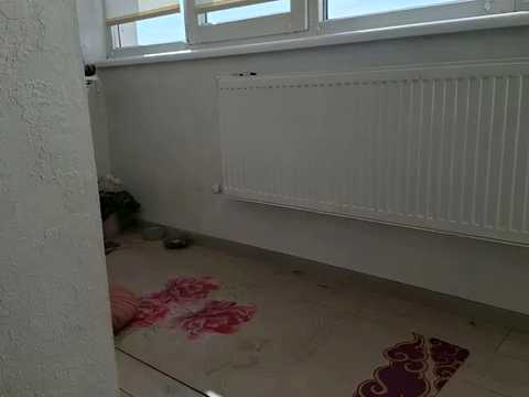 квартира по адресу Юлиана Целевича ул., 4