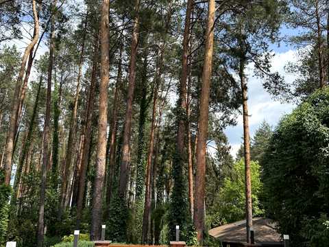 будинок за адресою Осіння, 15