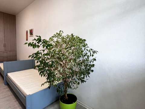 квартира по адресу Григория Сковороды ул., 11
