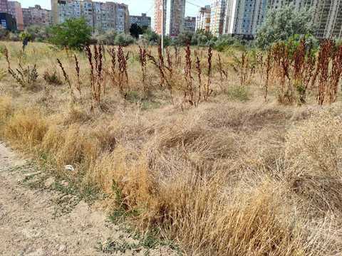 участок по адресу 