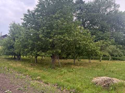 ділянка за адресою с. Волиця, 