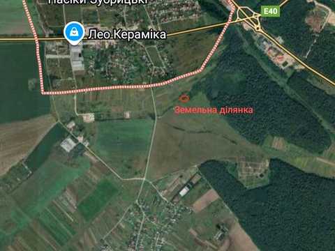участок по адресу с. Пасеки-Зубрицкие,