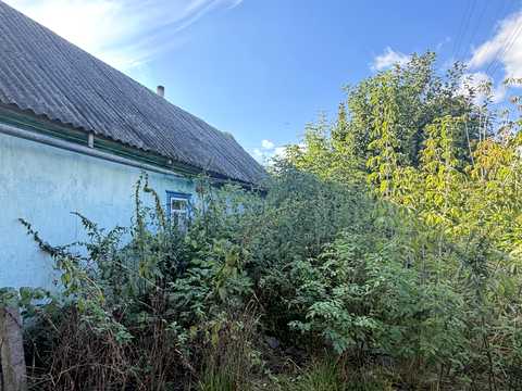 дом по адресу с. Каменный Брод, Київська, 30