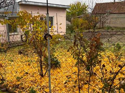 дом по адресу Повітряних Сил України ул. (Аерофлотська)