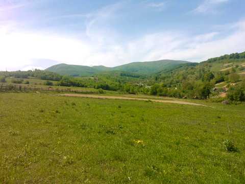 ділянка за адресою с. Поляна, Дисковецька