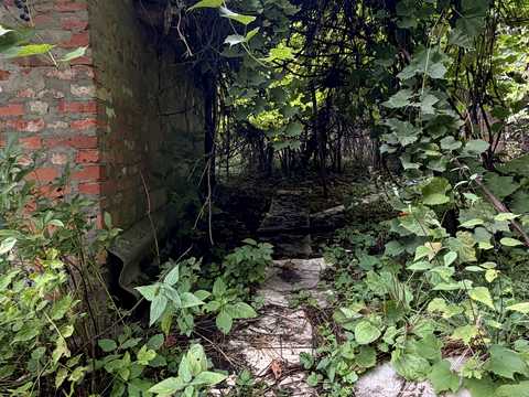 дом по адресу с. Морозовка, Будівельників