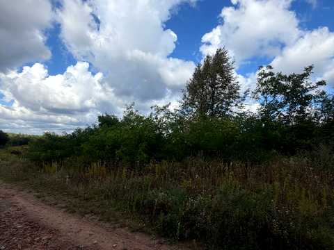 участок по адресу Зиболки, проспект Тараса Шевченка
