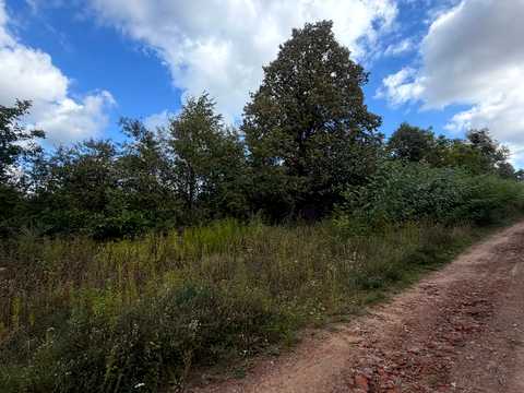 участок по адресу Зиболки, проспект Тараса Шевченка