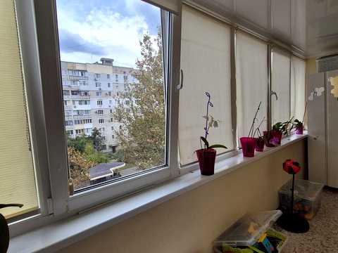 квартира за адресою Миру просп. (Леніна), 30