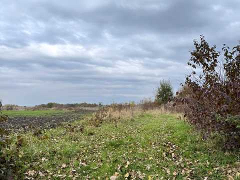 участок по адресу с. Оброшино,