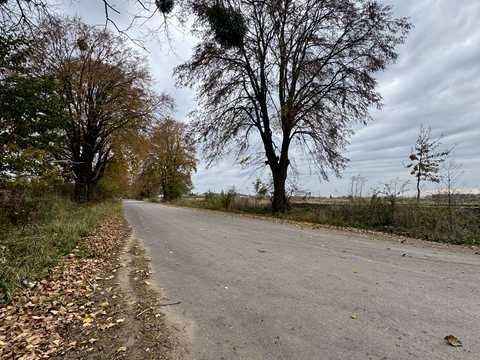 участок по адресу с. Оброшино,