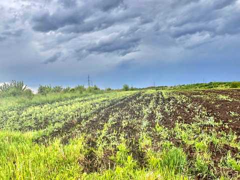 ділянка за адресою с. Підлужжя,