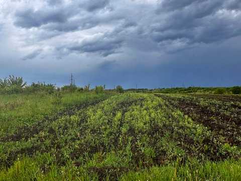 ділянка за адресою с. Підлужжя,