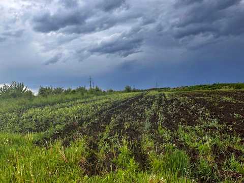 ділянка за адресою с. Підлужжя,