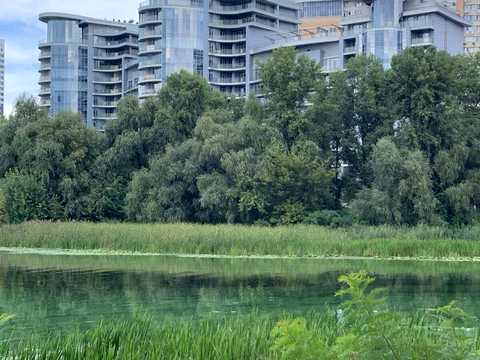 квартира за адресою Раїси Окіпної вул., 18