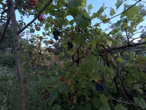 дом по адресу Тихая ул.