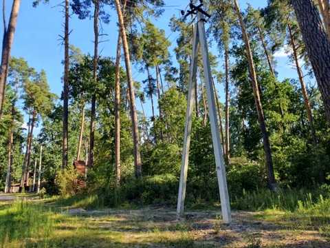 1877235856876336