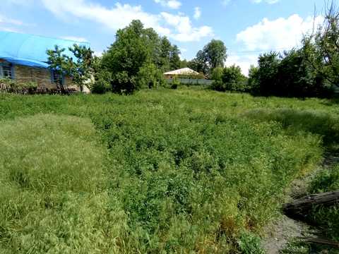 ділянка за адресою Ступки