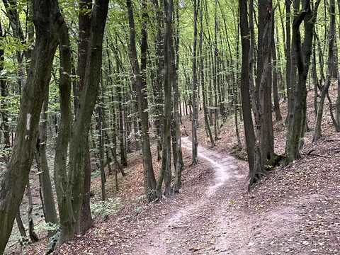 будинок за адресою Заозерна вул.