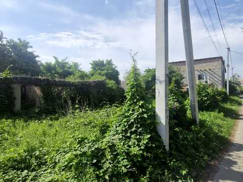 1877245516035705