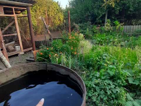 будинок за адресою Горіхова, 35