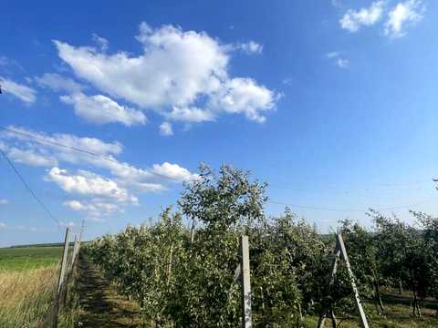 участок по адресу 