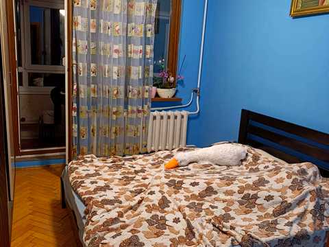 квартира по адресу Чигиринская ул., 11