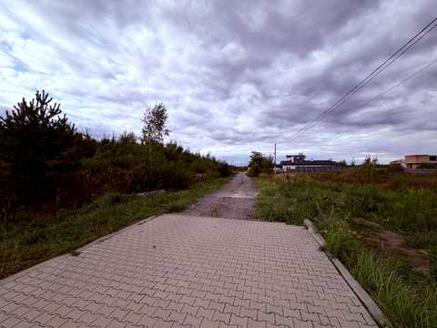 1877290456769954