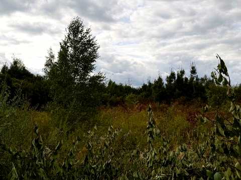 участок по адресу Игоря Билозира ул.